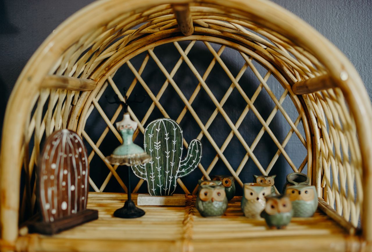 gallery-2 Stylish shelf decor featuring owl figurines and cactus ornaments on a wicker shelf.